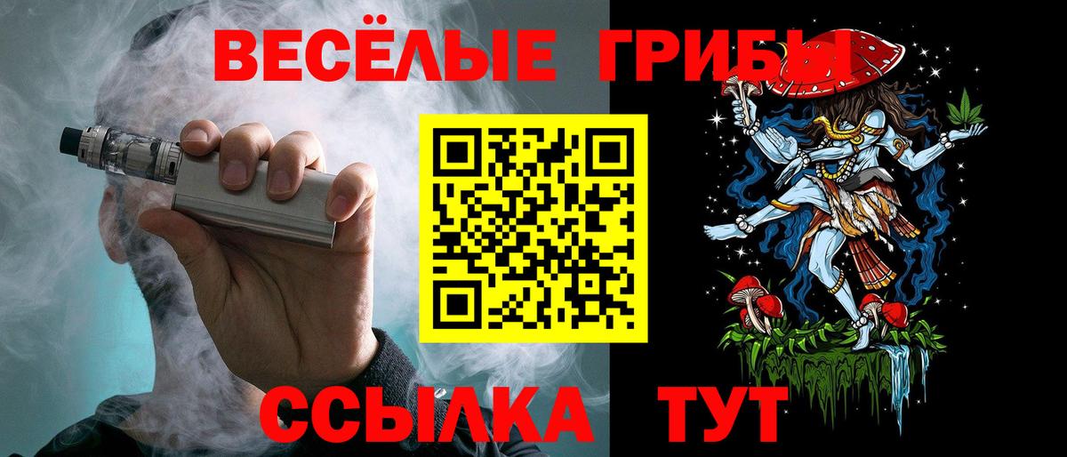 Галлюциногенные грибы Psilocybine cubensis  Вход с VPN  Тамбов 